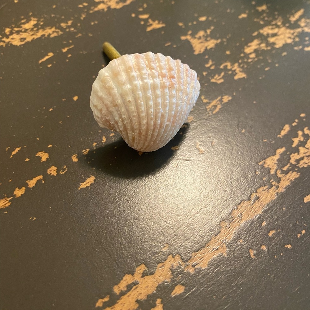 Anthropologie Shell Resin Knob - NEW. I have one.